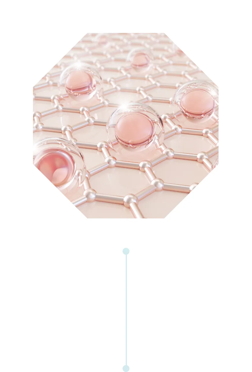 再生医療応用のイメージ