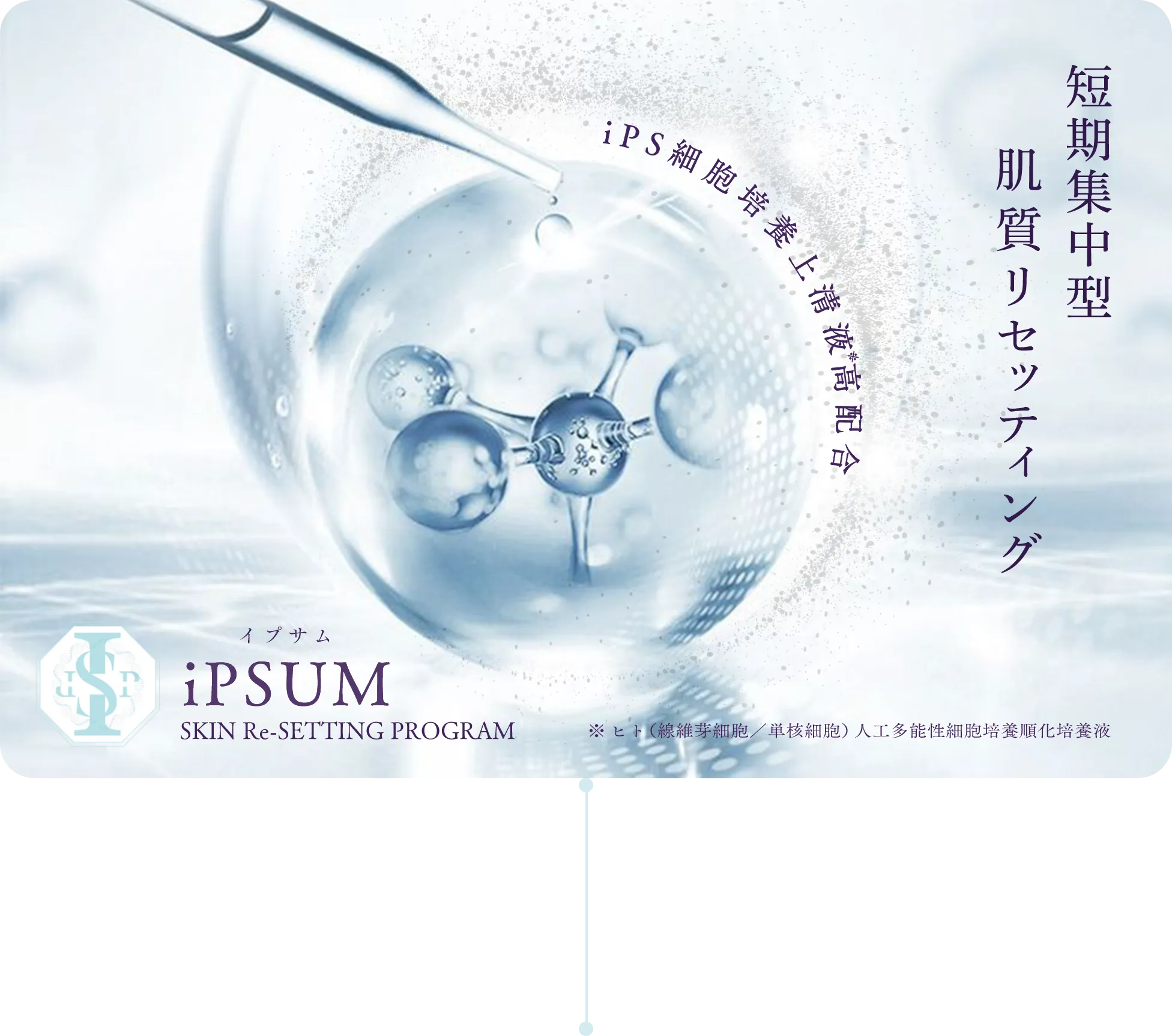 短期集中型肌質リセッティングイプサムiPSUM